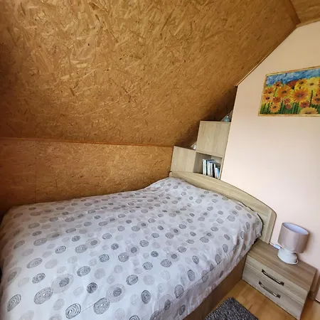 Namelis Rugile Druskieniki