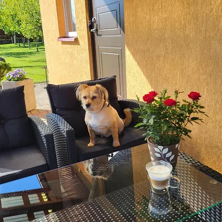 Apartament Namelis Rugile *