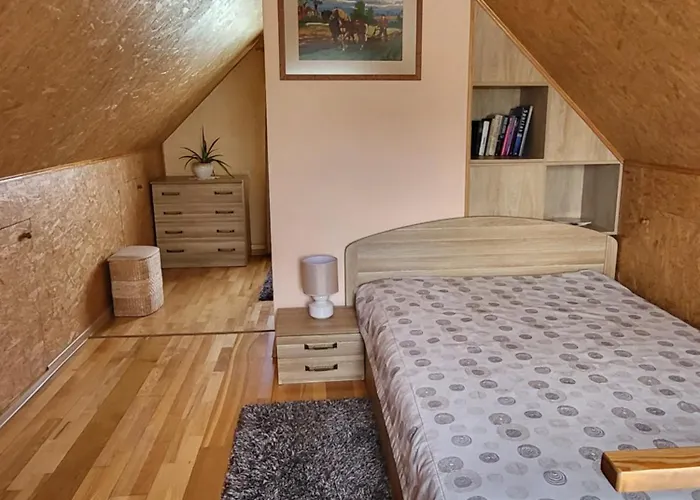 Namelis Rugile * Druskieniki