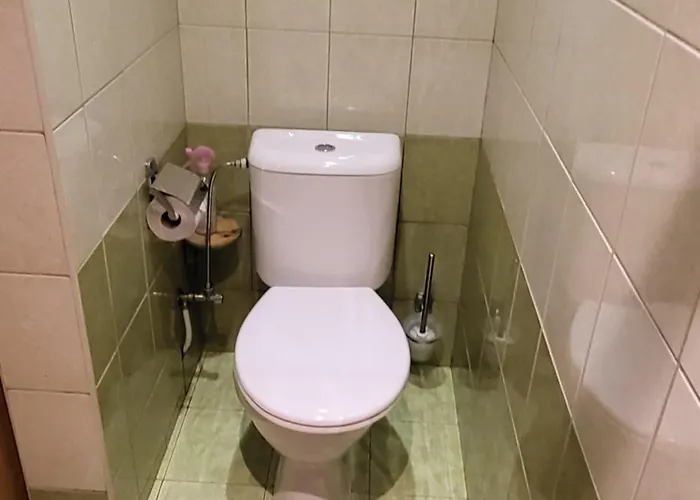 Apartament Namelis Rugile Druskieniki