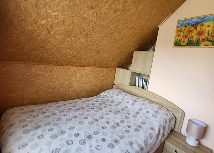 Namelis Rugile Druskieniki