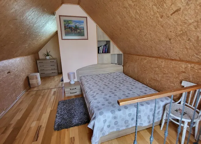 Namelis Rugile Apartament Druskieniki