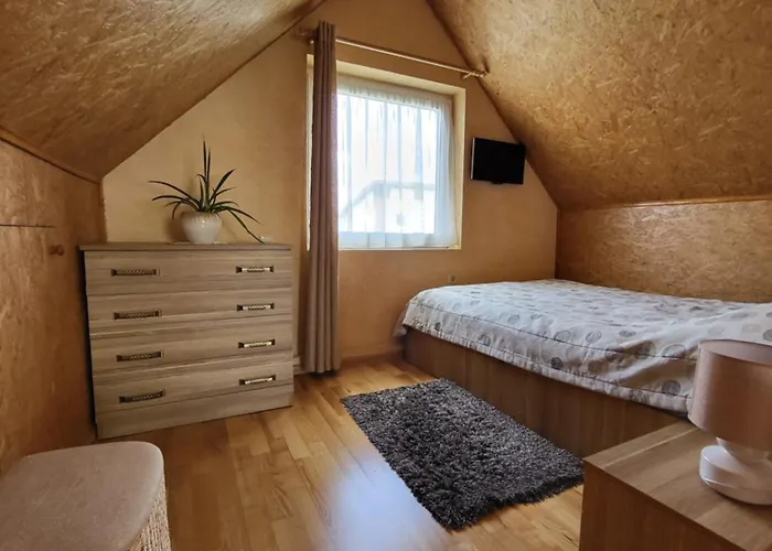 Namelis Rugile Druskieniki