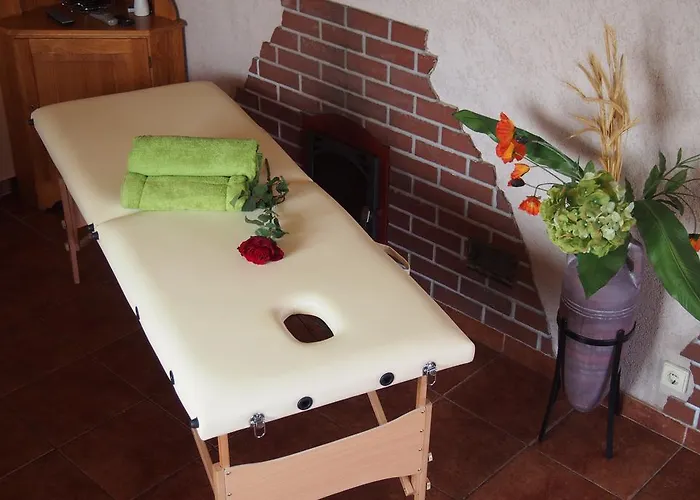 Namelis Rugile * Druskieniki